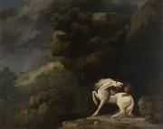 George Stubbs A Lion Attacking a Horse oil on canvas
